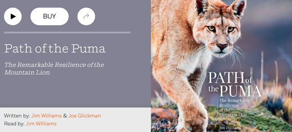 Path of the hot sale puma jim williams